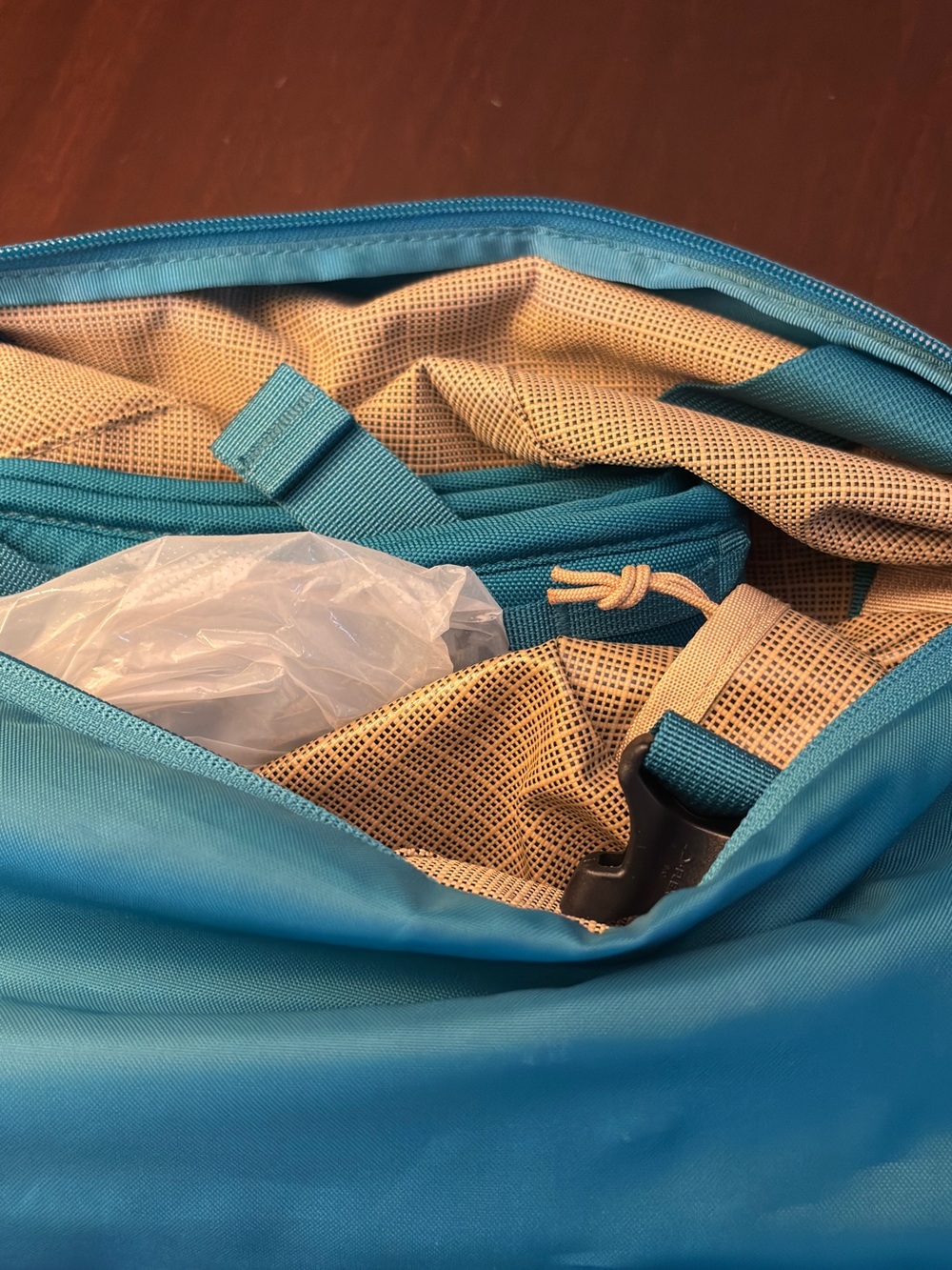 Patagonia Black Hole Duffel 55L in Tinamou Tan - Picture 5 of 6